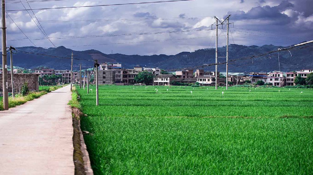 呼和浩特市内蒙古乡村沃畉农业服务…